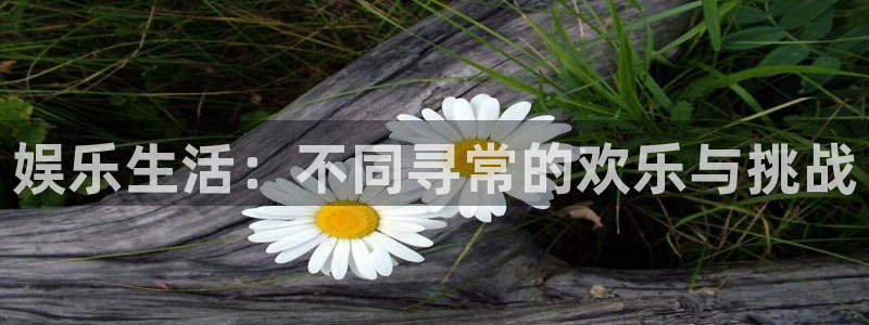 狗子28平台总代理