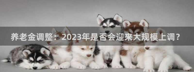 狗子28凯捷平台注册链接：养老金调整：2023年是否会迎来大规模上调？