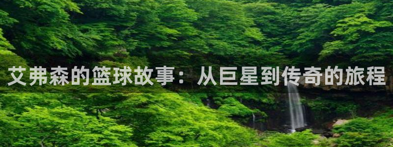 狗子28主管：艾弗森的篮球故事：从巨星到传奇的旅程