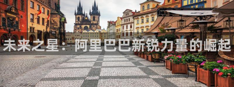 狗子28平台注册入口：未来之星：阿里巴巴新锐力量的崛起
