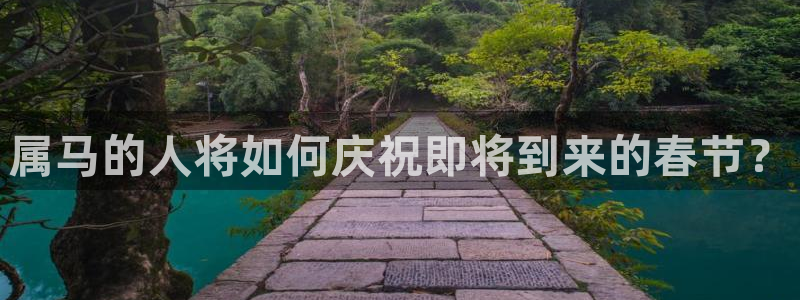 狗子28登录界面入口：属马的人将如何庆祝即将到来的春节？