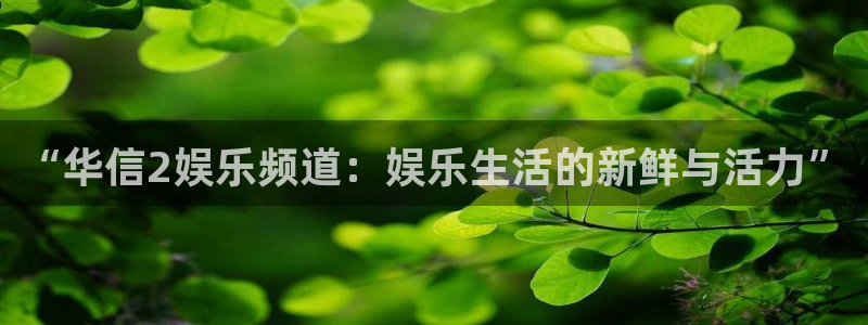 狗子284开户：“华信2娱乐频道：娱乐生活的新鲜与活力”