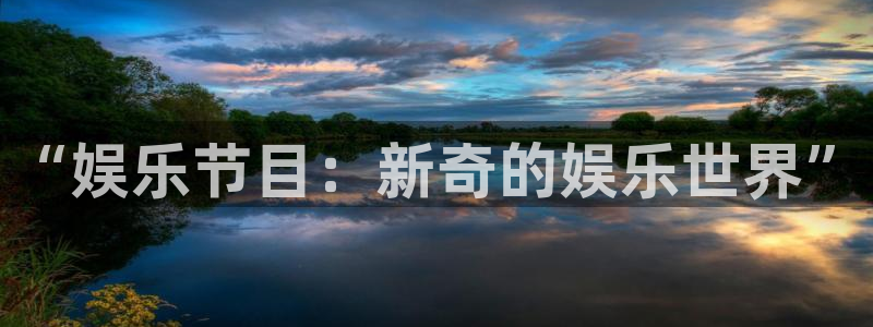 狗子285招商：“娱乐节目：新奇的娱乐世界”