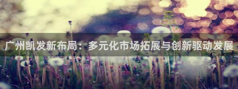 狗子283代理：广州凯发新布局：多元化市场拓展与创新驱动发展