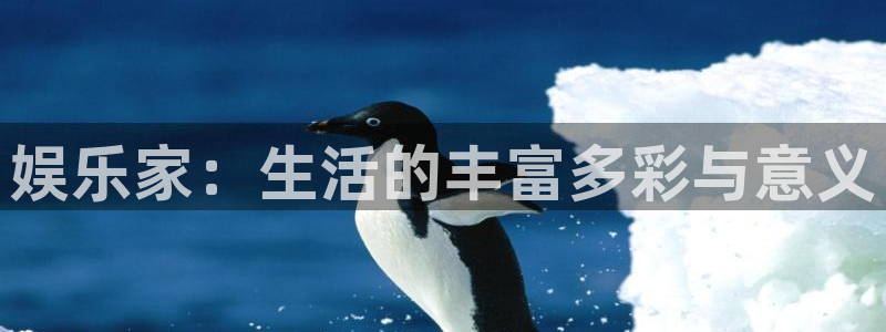 狗子282平台：娱乐家：生活的丰富多彩与意义