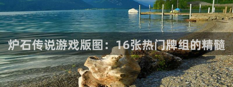 狗子28主管：炉石传说游戏版图：16张热门牌组的精髓