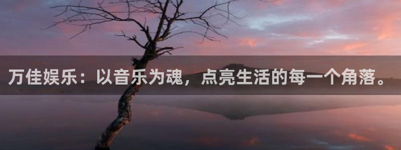狗子284：万佳娱乐：以音乐为魂，点亮生活的每一个角落。