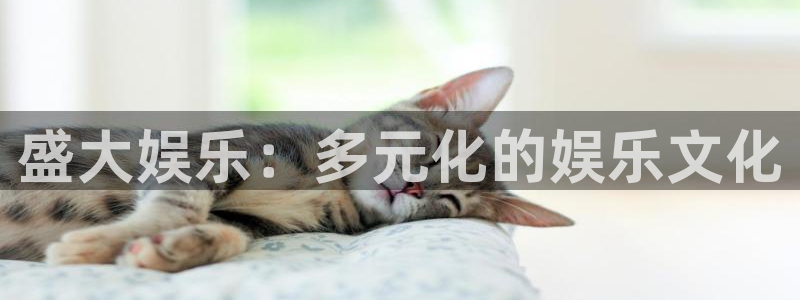 成都狗子28电子有限公司：盛大娱乐：多元化的娱乐文化