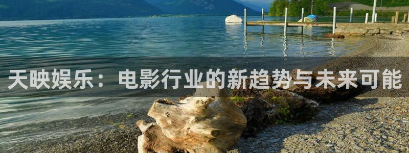狗子28招商：天映娱乐：电影行业的新趋势与未来可能