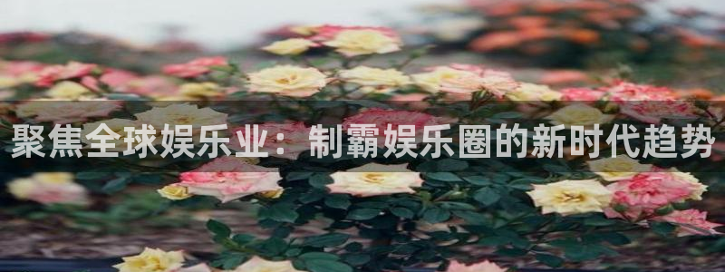 狗子28体育平台总代理：聚焦全球娱乐业：制霸娱乐圈的新时代趋势
