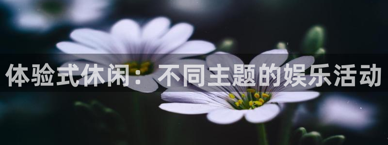 狗子28主管：体验式休闲：不同主题的娱乐活动