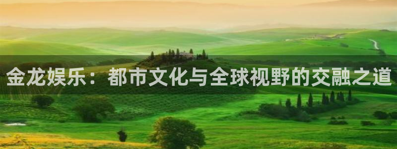 狗子282平台：金龙娱乐：都市文化与全球视野的交融之道