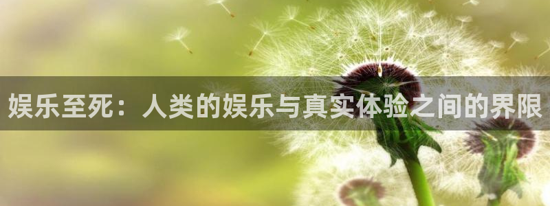狗子28体育eon：娱乐至死：人类的娱乐与真实体验之间的界限