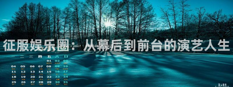 狗子282登录入口：征服娱乐圈：从幕后到前台的演艺人生