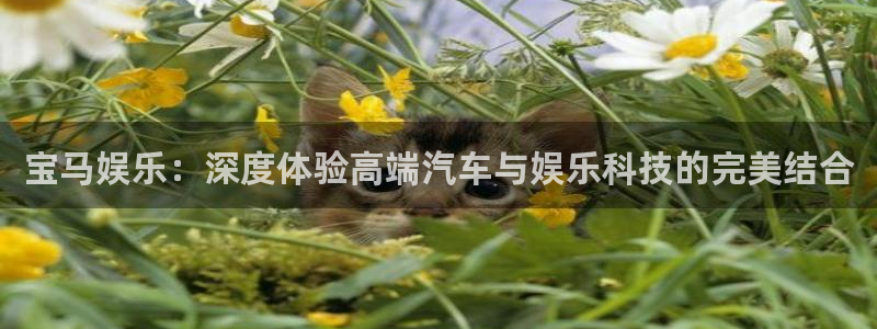 狗子28体育注册登录入口：宝马娱乐：深度体验高端汽车与娱乐科技的完美结合
