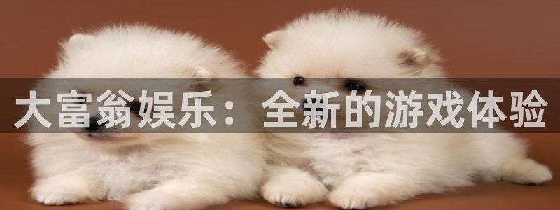 狗子28f凯捷注册：大富翁娱乐：全新的游戏体验