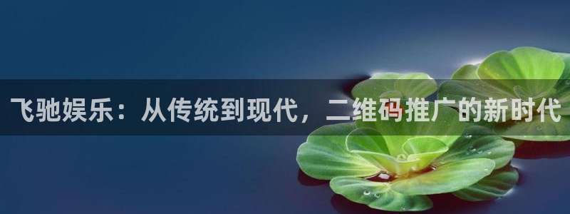 狗子28体育凯捷平台注册：飞驰娱乐：从传统到现代，二维码推广的新时代