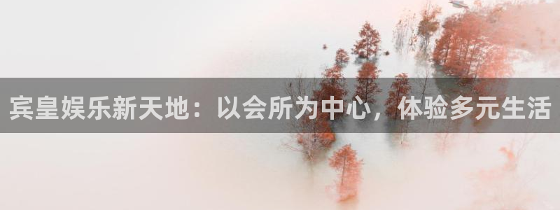 狗子28体育代理：宾皇娱乐新天地：以会所为中心，体验多元生活
