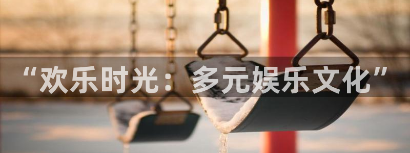 狗子28体育平台注册：“欢乐时光：多元娱乐文化”