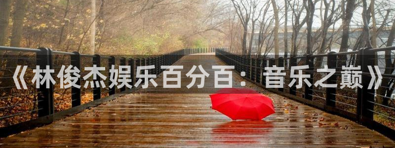 狗子28体育凯捷平台代理：《林俊杰娱乐百分百：音乐之巅》