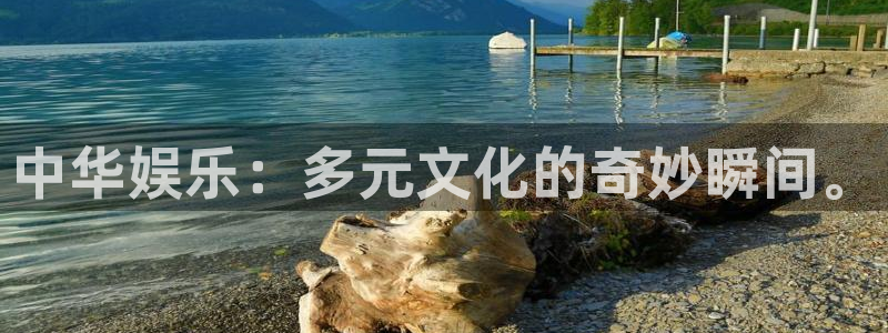 狗子28体育游戏：中华娱乐：多元文化的奇妙瞬间。