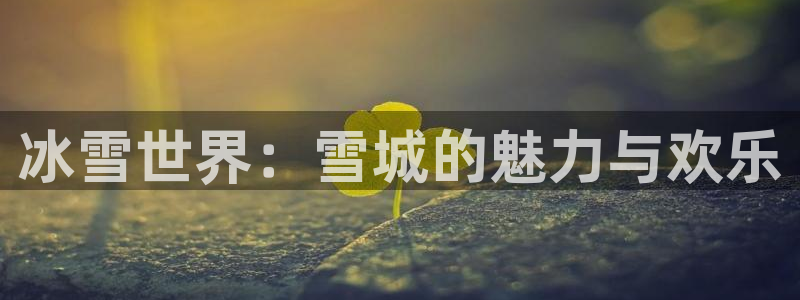 狗子28集团股票：冰雪世界：雪城的魅力与欢乐