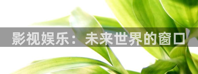 狗子28体育老板是谁：影视娱乐：未来世界的窗口