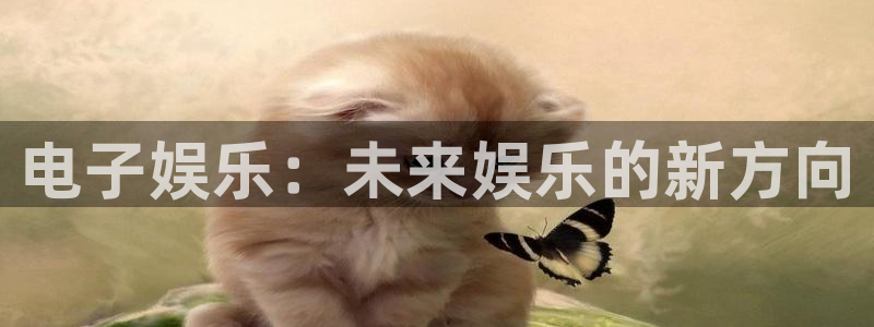 狗子283官网登录：电子娱乐：未来娱乐的新方向
