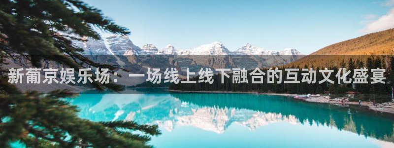 狗子285招商：新葡京娱乐场：一场线上线下融合的互动文化盛宴