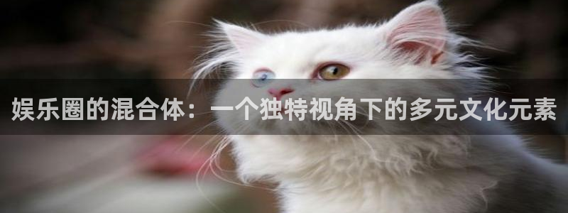 狗子28体育3在线注册：娱乐圈的混合体：一个独特视角下的多元文化元素