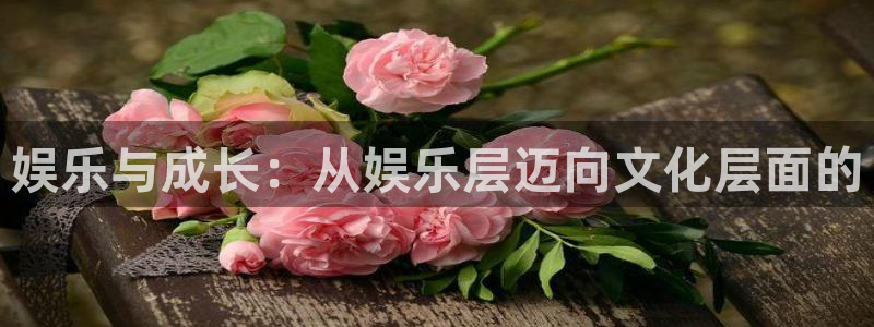 狗子282代理注册：娱乐与成长：从娱乐层迈向文化层面的