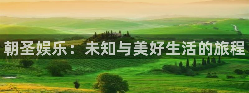 狗子285招商：朝圣娱乐：未知与美好生活的旅程