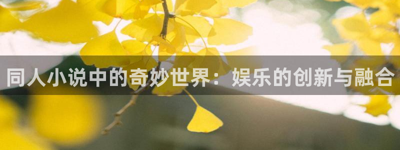 狗子28体育代理申请流程：同人小说中的奇妙世界：娱乐的创新与融合