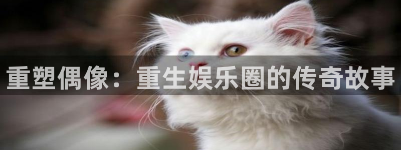 狗子28集团总部：重塑偶像：重生娱乐圈的传奇故事
