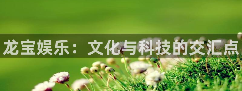 狗子28零能源集团：龙宝娱乐：文化与科技的交汇点
