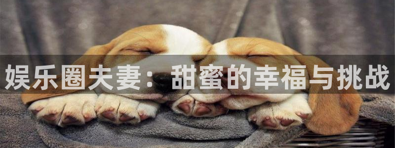 狗子282官网：娱乐圈夫妻：甜蜜的幸福与挑战