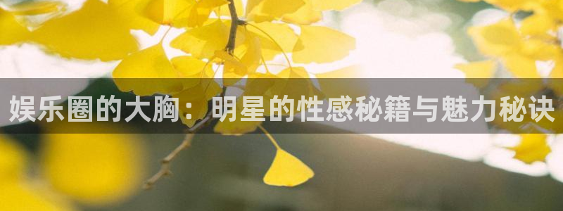 狗子28平台注册入口：娱乐圈的大胸：明星的性感秘籍与魅力秘诀