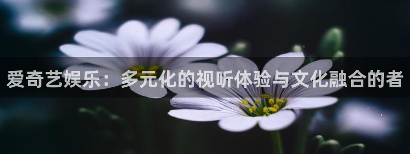 狗子28零能源集团：爱奇艺娱乐：多元化的视听体验与文化融合的者